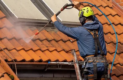 Démoussage et hydrofuge de toiture à Lingé